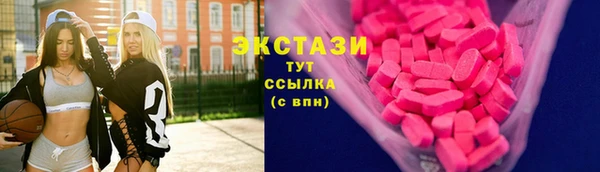 гашик Козловка