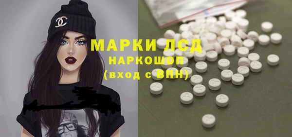 гашик Козловка