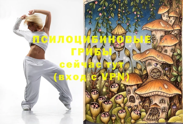 винт Козельск