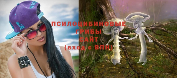 гашик Козловка