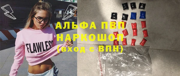 гашик Козловка