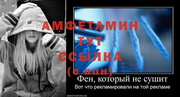 гашик Козловка